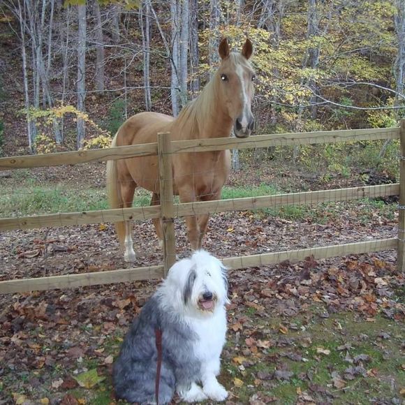 Meet your Posher, Julie - Picture 1 of 1